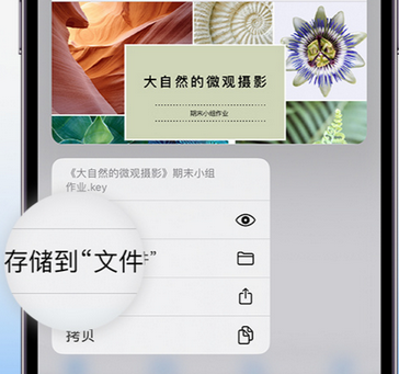 越城apple维修中心分享iPhone文件应用中存储和找到下载文件