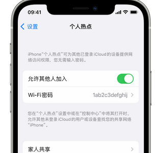 越城apple服务站点分享iPhone上个人热点丢失了怎么办 