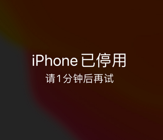 越城苹果手机维修分享:iPhone 显示“不可用”或“已停用”怎么办？还能保留数据吗？ 