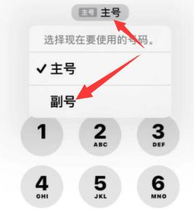 越城苹果14维修店分享iPhone 14 Pro Max使用副卡打电话的方法 