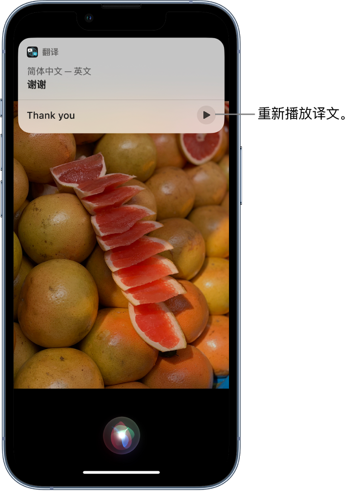 越城苹果14维修分享 iPhone 14 机型中使用 Siri：了解 Siri 能帮你做什么 