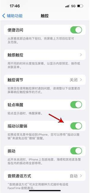 越城苹果手机维修分享iPhone手机如何设置摇一摇删除文字 